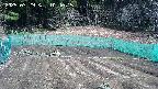 kannonmori-20250329104017.jpg