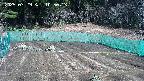 kannonmori-20250329105015.jpg