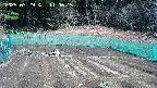 kannonmori-20250329110016.jpg