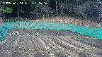 kannonmori-20250329112017.jpg
