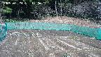 kannonmori-20250329120017.jpg