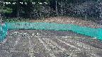 kannonmori-20250329121016.jpg