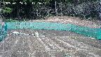 kannonmori-20250329122016.jpg