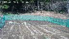 kannonmori-20250329125016.jpg