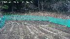 kannonmori-20250329130017.jpg