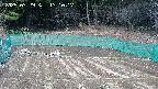 kannonmori-20250329131019.jpg