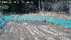 kannonmori-20250329133017.jpg