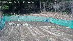 kannonmori-20250329134017.jpg