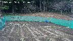 kannonmori-20250329135018.jpg