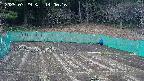 kannonmori-20250329140017.jpg