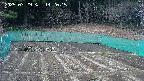 kannonmori-20250329142017.jpg