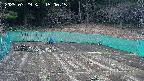 kannonmori-20250329150017.jpg
