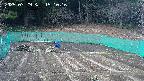 kannonmori-20250329151017.jpg