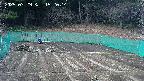 kannonmori-20250329152016.jpg