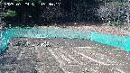 kannonmori-20250329153018.jpg
