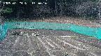 kannonmori-20250329155018.jpg