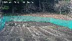 kannonmori-20250329160018.jpg