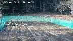 kannonmori-20250329164020.jpg