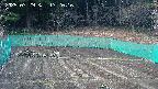 kannonmori-20250329172018.jpg