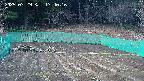kannonmori-20250329174018.jpg