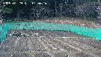 kannonmori-20250329175017.jpg
