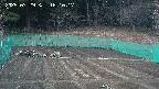 kannonmori-20250329181018.jpg