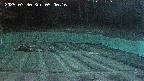 kannonmori-20250330050018.jpg