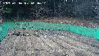kannonmori-20250330053015.jpg