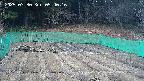 kannonmori-20250330054017.jpg