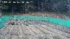 kannonmori-20250330055018.jpg