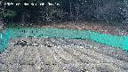 kannonmori-20250330060018.jpg