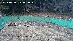 kannonmori-20250330061016.jpg