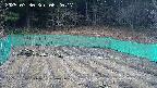 kannonmori-20250330062019.jpg