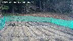 kannonmori-20250330063015.jpg