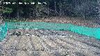 kannonmori-20250330064017.jpg