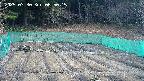 kannonmori-20250330065017.jpg