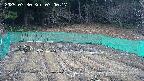kannonmori-20250330070019.jpg