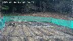kannonmori-20250330071015.jpg
