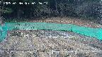 kannonmori-20250330072015.jpg