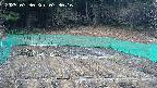 kannonmori-20250330073017.jpg