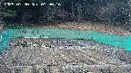 kannonmori-20250330075017.jpg