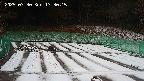 kannonmori-20250330133016.jpg