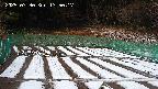 kannonmori-20250330135018.jpg