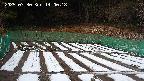 kannonmori-20250330140018.jpg