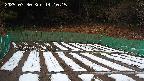kannonmori-20250330141016.jpg
