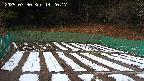 kannonmori-20250330142018.jpg