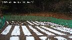 kannonmori-20250330143018.jpg