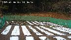 kannonmori-20250330144017.jpg