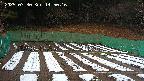 kannonmori-20250330145017.jpg