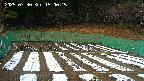 kannonmori-20250330150016.jpg